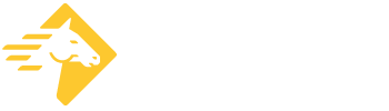 Paladin Security logo